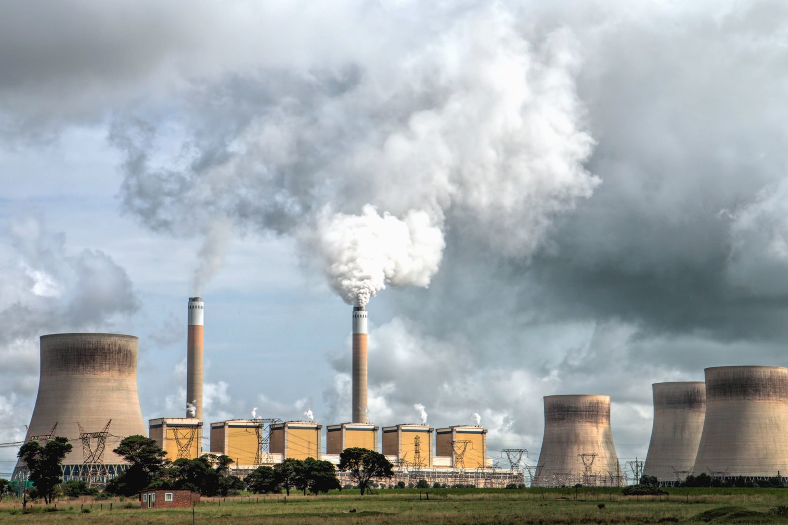 Cómo calcular la potencia necesaria para tu planta